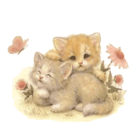 5264392_3677932_3456579_gatos.gif (198x182, 64Kb)