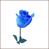 6440573_933573_2406513.gif (193x193, 47Kb)