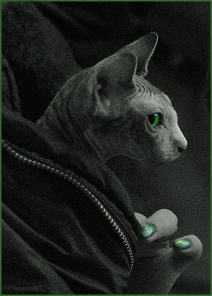 152.jpg (430x600, 105Kb)