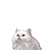 6342395_5393680_842430_904183.gif (88x99, 64Kb)