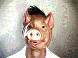 pig.gif (160x120, 515Kb)