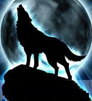 2wolfs_rain_800_n85_1_.jpg (183x200, 7Kb)