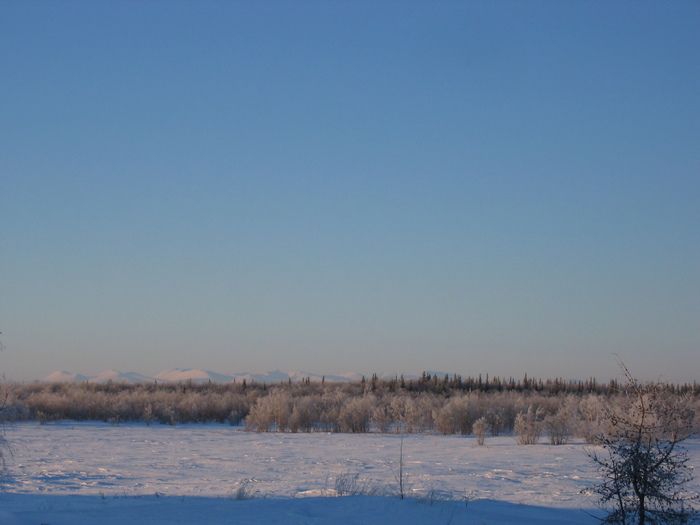 STA_0015.JPG (700x525, 100Kb)