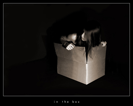 6361166_in_the_box.jpg (450x359, 48Kb)