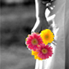 th_ththflowers.jpg (100x100, 20Kb)