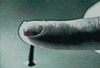 6614j9zq9t3wxa.gif (100x68, 146Kb)