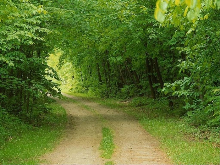13.JPG (700x525, 335Kb)