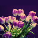 holidays_041.jpg (128x128, 18Kb)