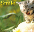       .gif (120x112, 17Kb)