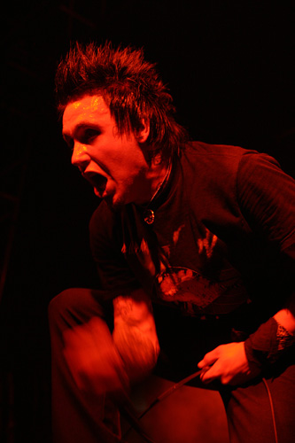 IMG_5278.jpg (333x500, 46Kb)