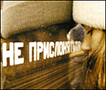 avatar563_19.gif (150x128, 18Kb)