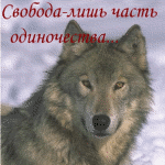5303928_5217081_volki.gif (150x150, 231Kb)