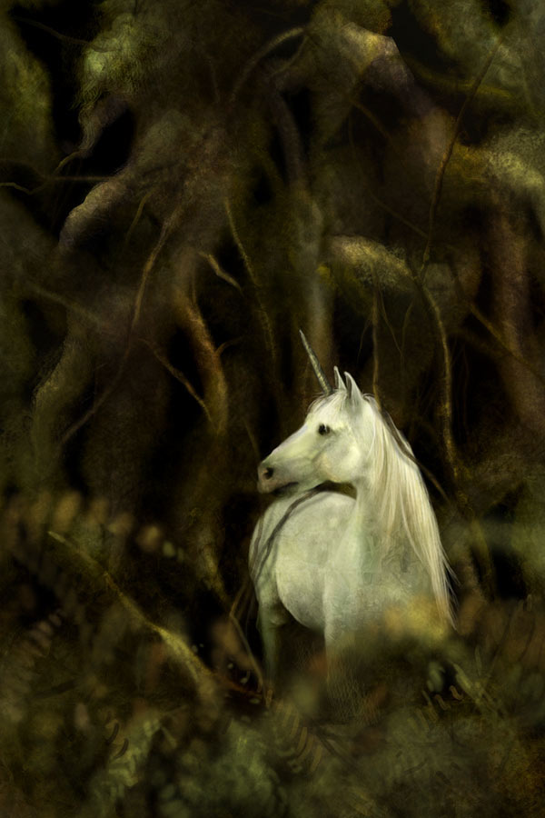 unicorns_036.jpg (600x900, 77Kb)