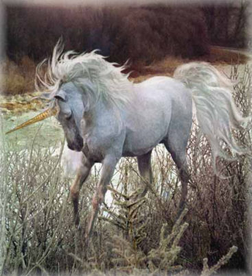 unicorns_038.jpg (367x403, 36Kb)