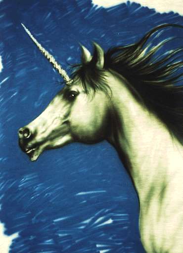 unicorns_041.jpg (370x510, 20Kb)