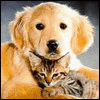 .gif (100x100, 113Kb)