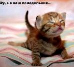 985162_1245400.jpg (149x135, 9Kb)