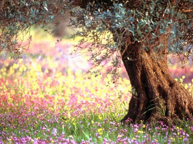 file-15.jpg (640x480, 98Kb)