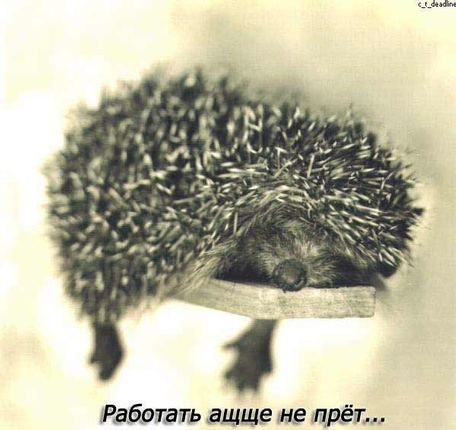 hgg.JPG (456x430, 125Kb)