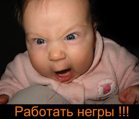 rew.JPG (470x401, 85Kb)