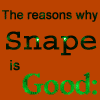 Snape_is_Good_by_tmtrcclby.gif (100x100, 37Kb)