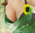 a3a1635dff368dd.gif (120x115, 15Kb)