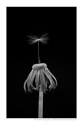 7a73dab1c05300dc.jpg (267x400, 8Kb)