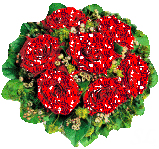 6206337_3313519_3031578_rose5.gif (159x149, 23Kb)