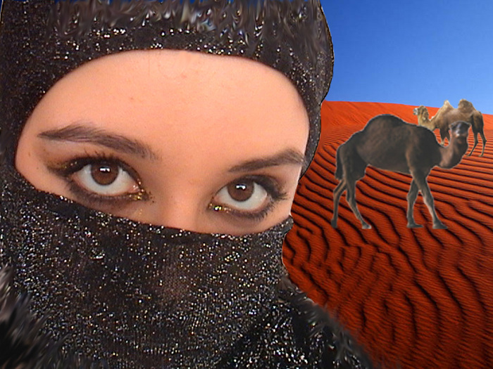 bellydance4.jpg (700x525, 184Kb)