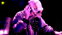 tara_lp (83).gif (205x116, 39Kb)