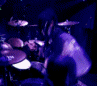 tara_lp (90).gif (97x86, 39Kb)