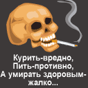 Cherep.gif (128x128, 3Kb)