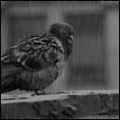 478961.gif (120x120, 19Kb)