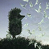 5.jpg (100x100, 9Kb)