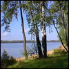 20.jpg (100x100, 6Kb)