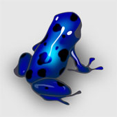 real_azureus.jpg (170x170, 26Kb)