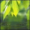 680699_152328.jpg (100x100, 6Kb)