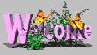 w1.gif (140x80, 10Kb)