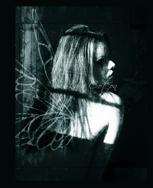 1947811.jpg (300x368, 21Kb)