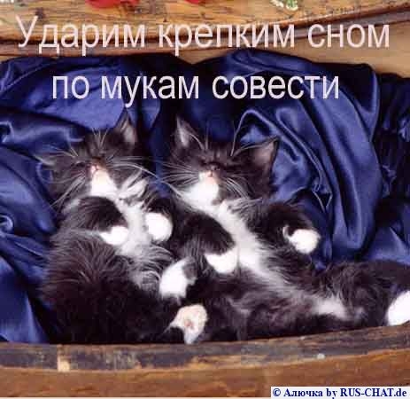 piuop.JPG (463x450, 96Kb)