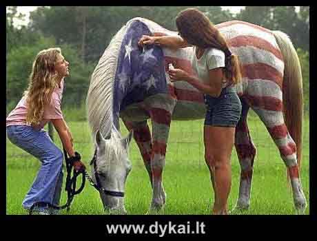 horseflag.jpg (460x350, 18Kb)