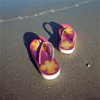 3895thumbnail.gif (100x100, 8Kb)
