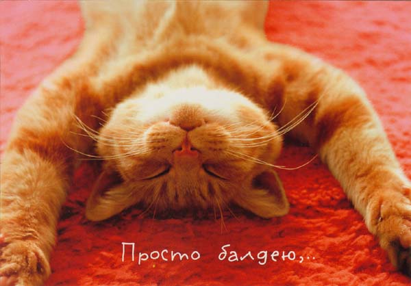 6375795_3323158.jpg (600x418, 37Kb)