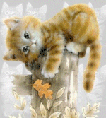 cats_144.gif (150x167, 37Kb)