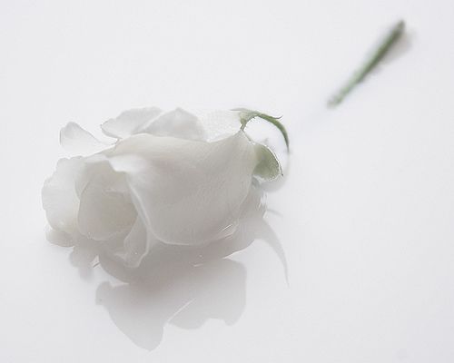 kartino4ki-1142672206_i_5254.jpg (500x400, 9Kb)
