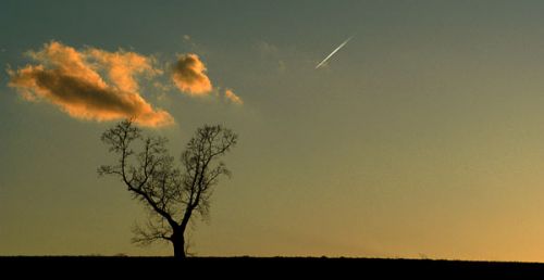 softina_and_other-1142691174_i_8668.jpg (500x258, 11Kb)