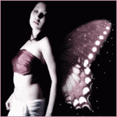 8633_b.gif (170x170, 19Kb)