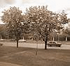 96.gif (100x95, 19Kb)