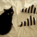 6268631_6210004.gif (120x120, 12Kb)