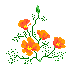 001.gif (75x69, 0Kb)